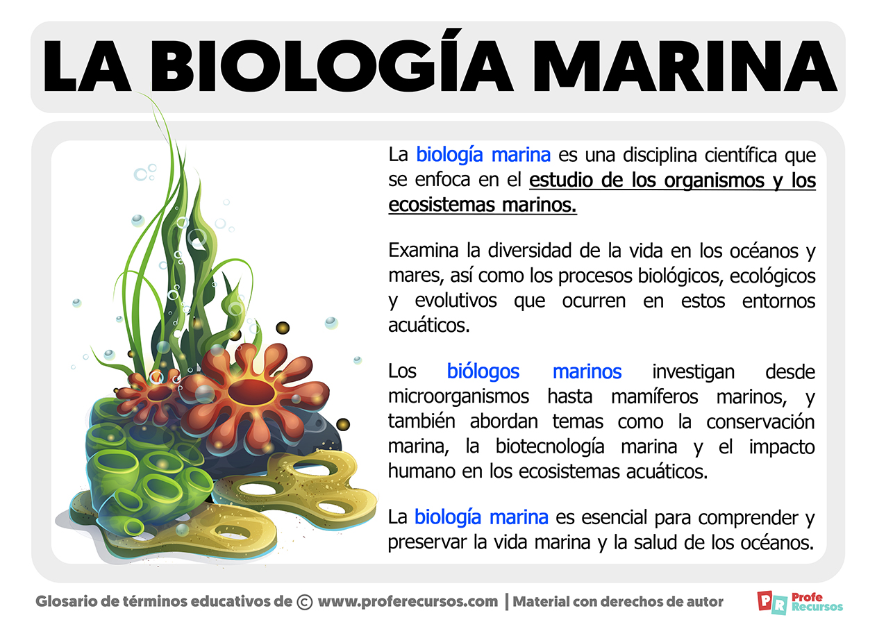 Que es la biologia marina