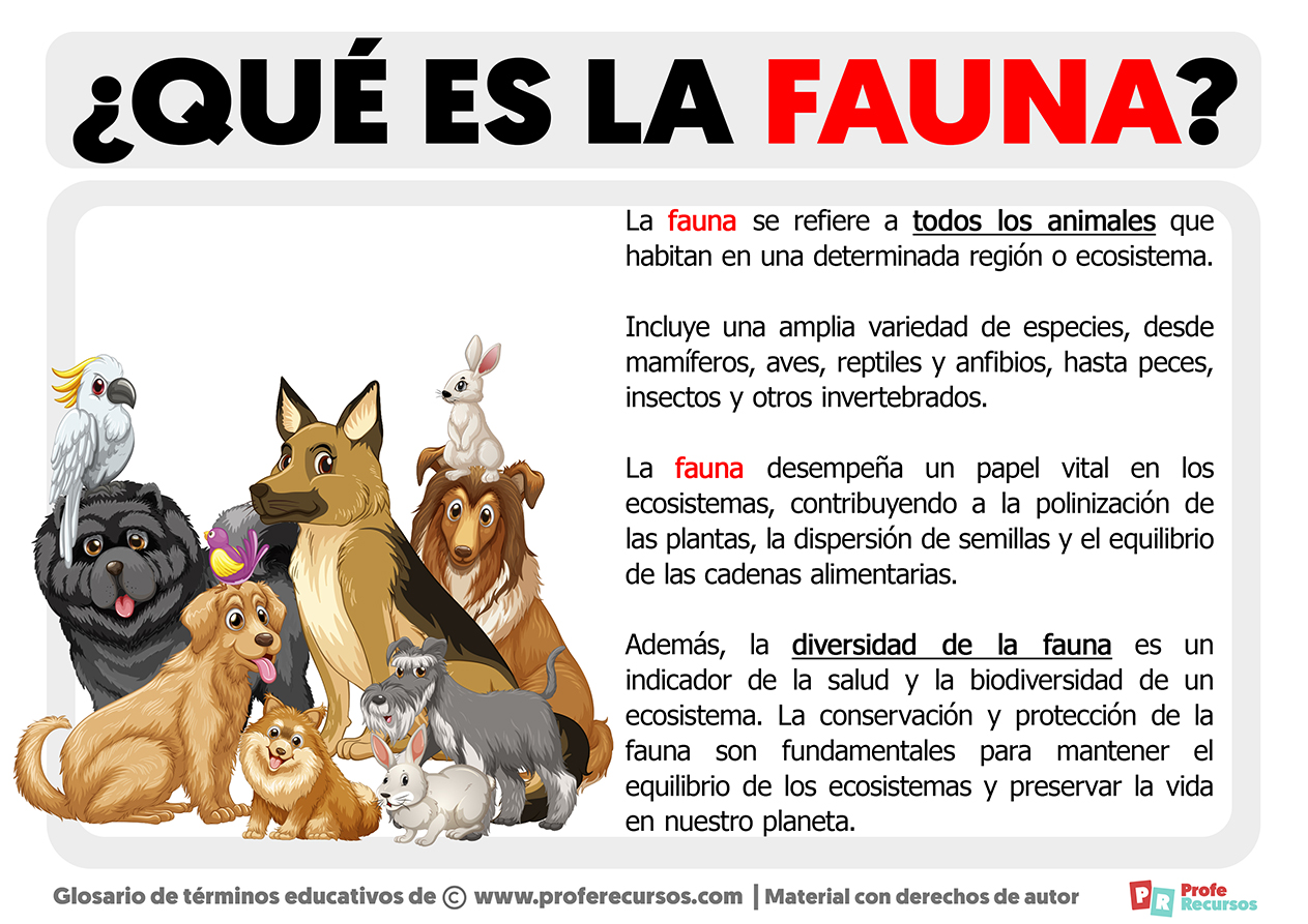 Que es la fauna