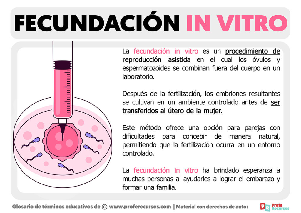 Fecundacion in vitro mujeres solteras