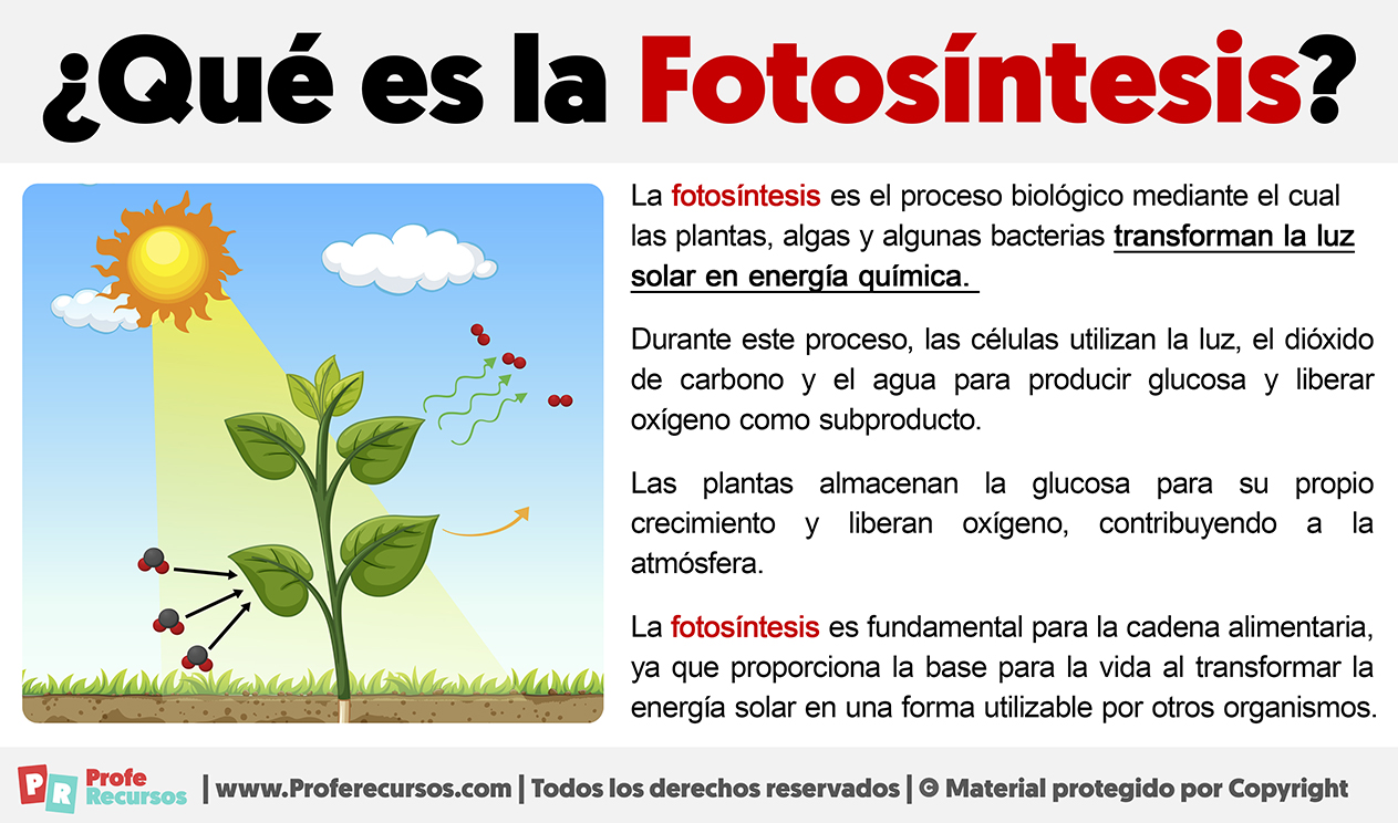 Que es la fotosintesis