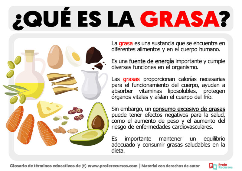Qué es la Grasa Definición de Grasa