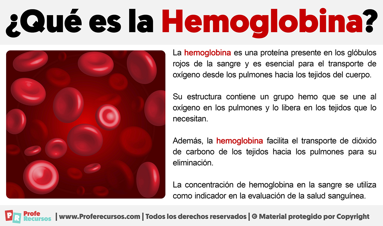 Que es la hemoglobina