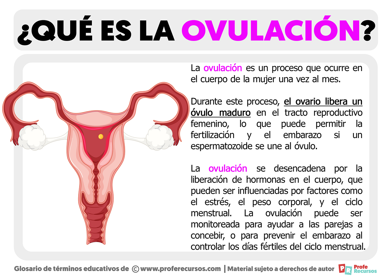 Que es la ovulacion