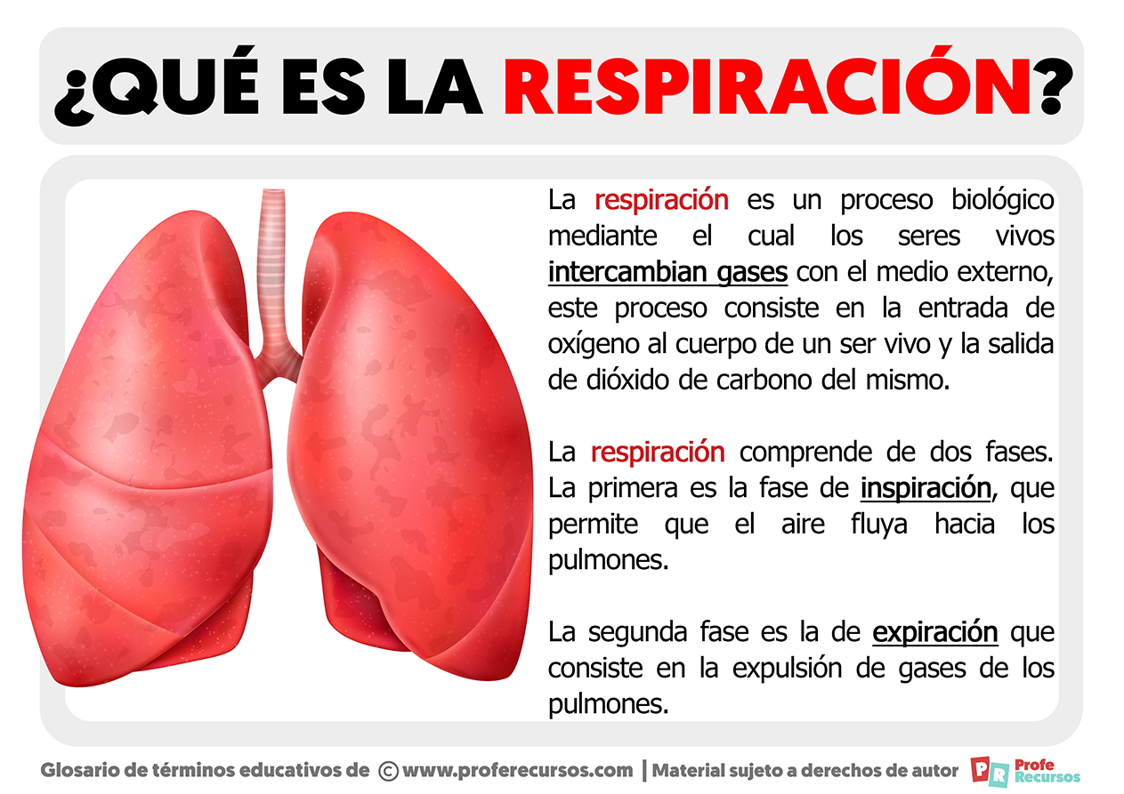 Que es la respiracion