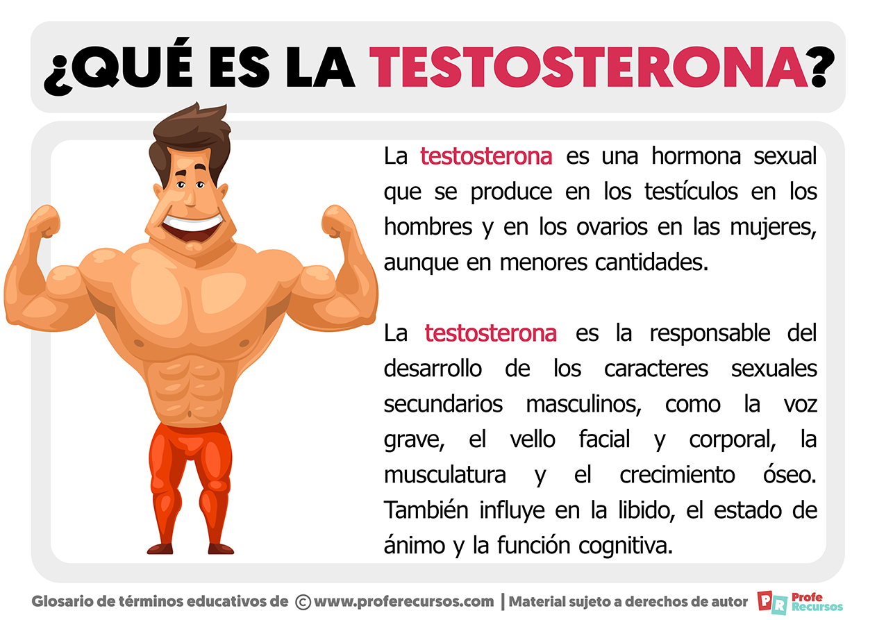 Que es la testosterona