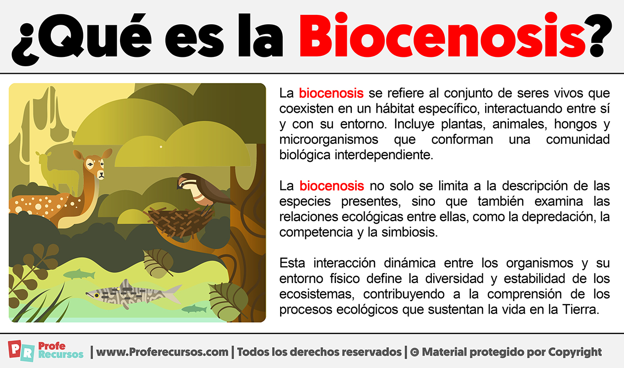 Que es la biocenosis
