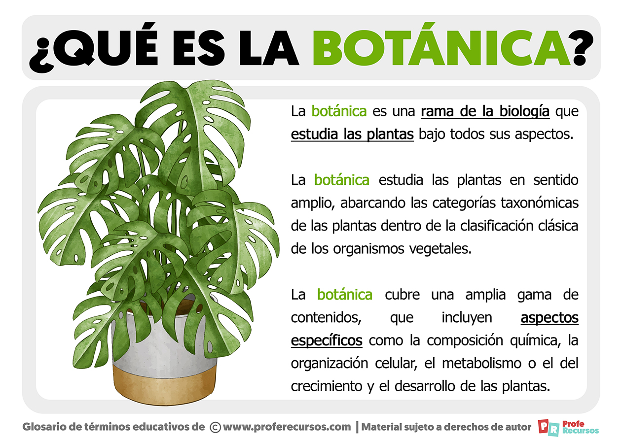 Que es la botanica