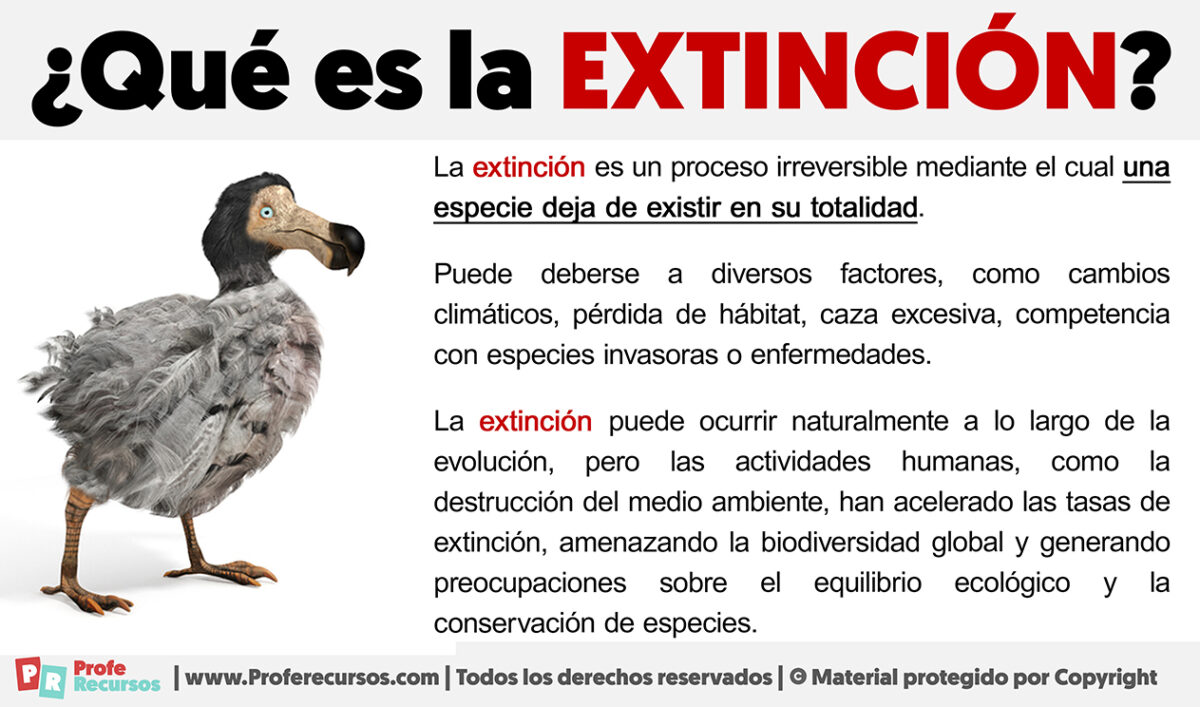Qué es la Extinción 5 Ejemplos