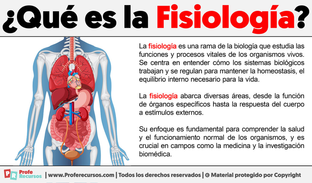 Objeto De Estudio De La Fisiologia www.proferecursos.com