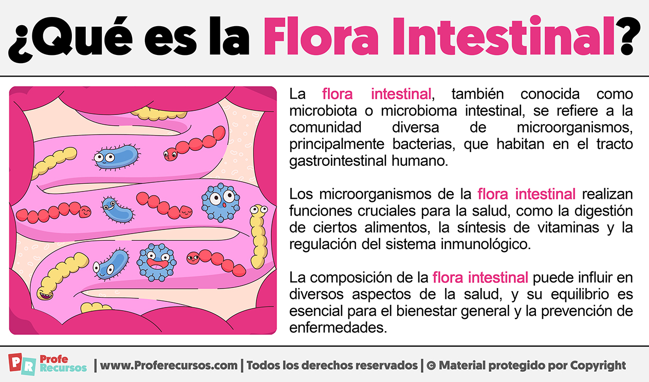 Que es la flora intestinal