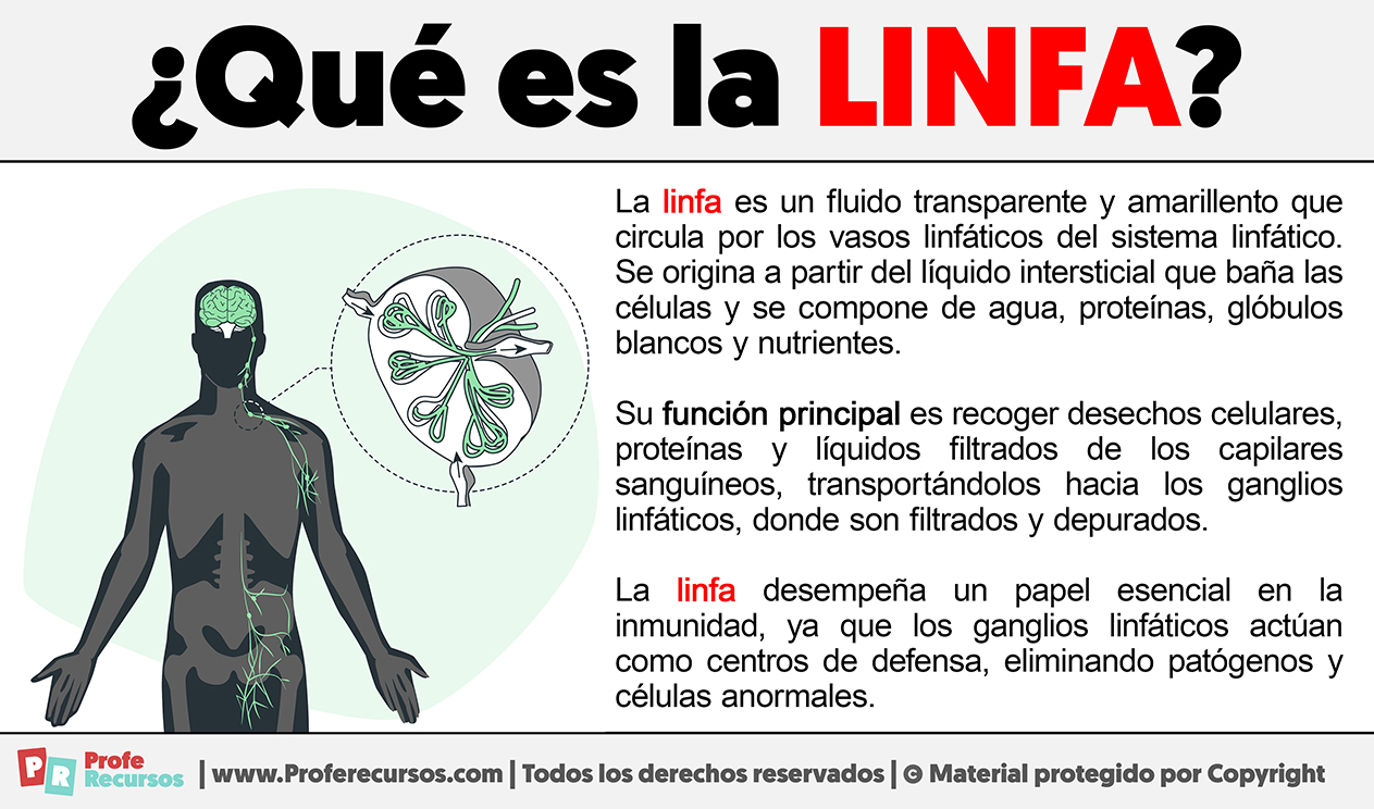 Que es la linfa