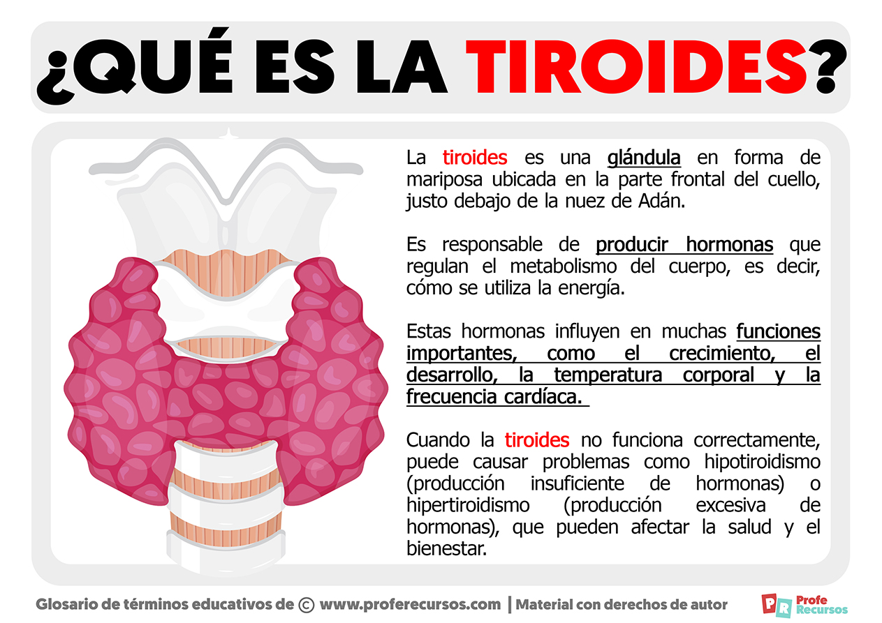 Que es la tiroides