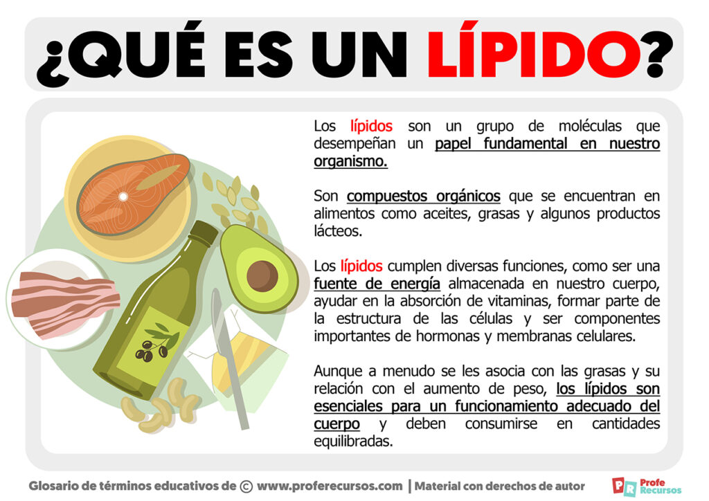 Qué es un Lípido Definición de Lípido