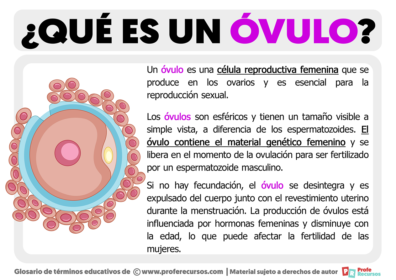 Para que sirven los ovulos vaginales