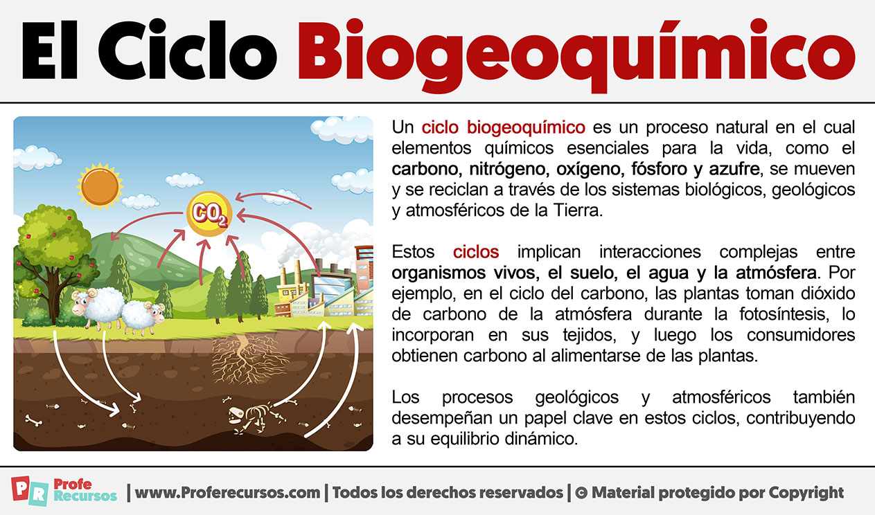 Que es un ciclo biogeoquimico