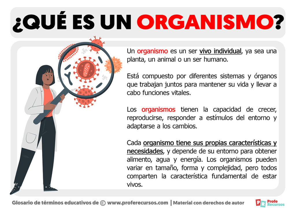Qué es un Organismo Definición de Organismo