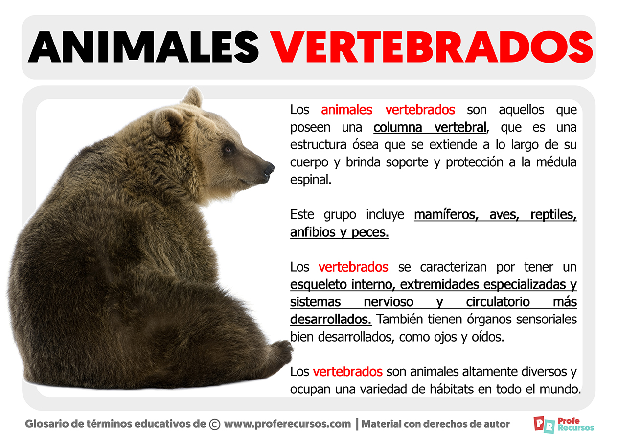 Que son los animales vertebrados