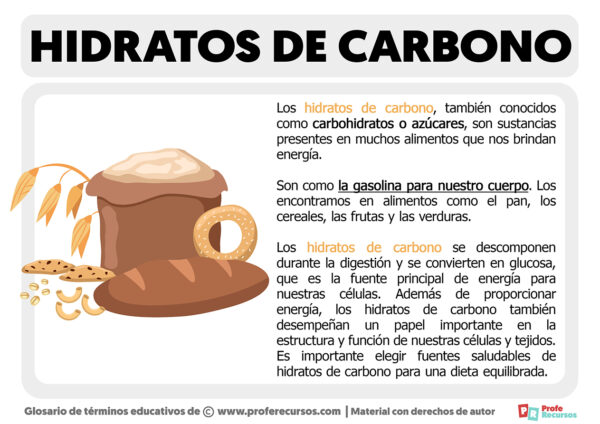 Qué son los Hidratos de Carbono | Definición