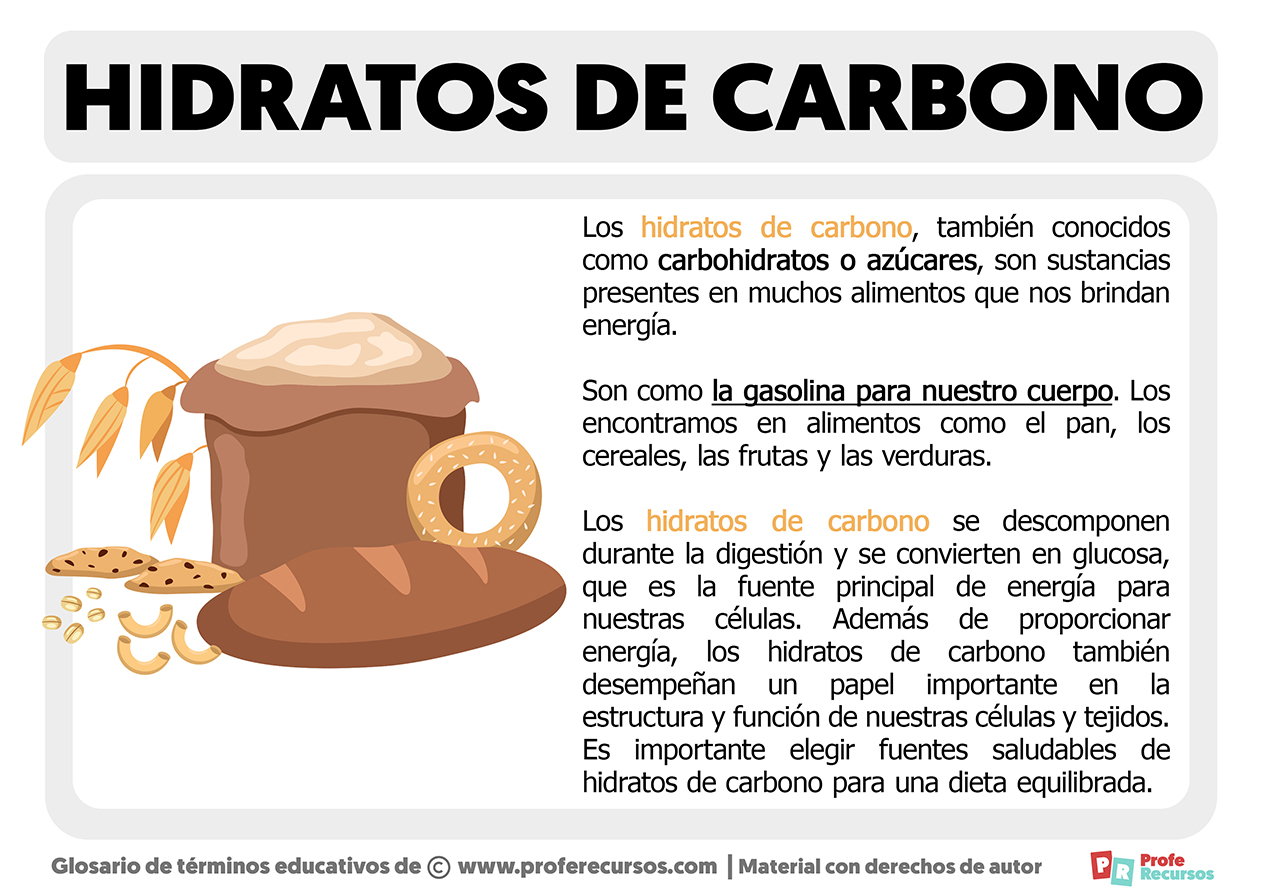 Que son los hidratos de carbono