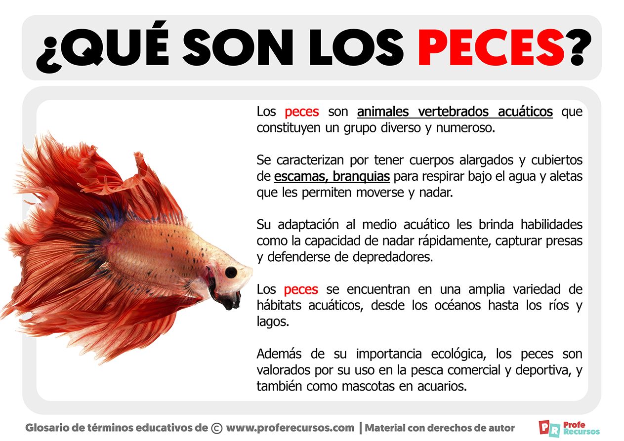 Que son los peces