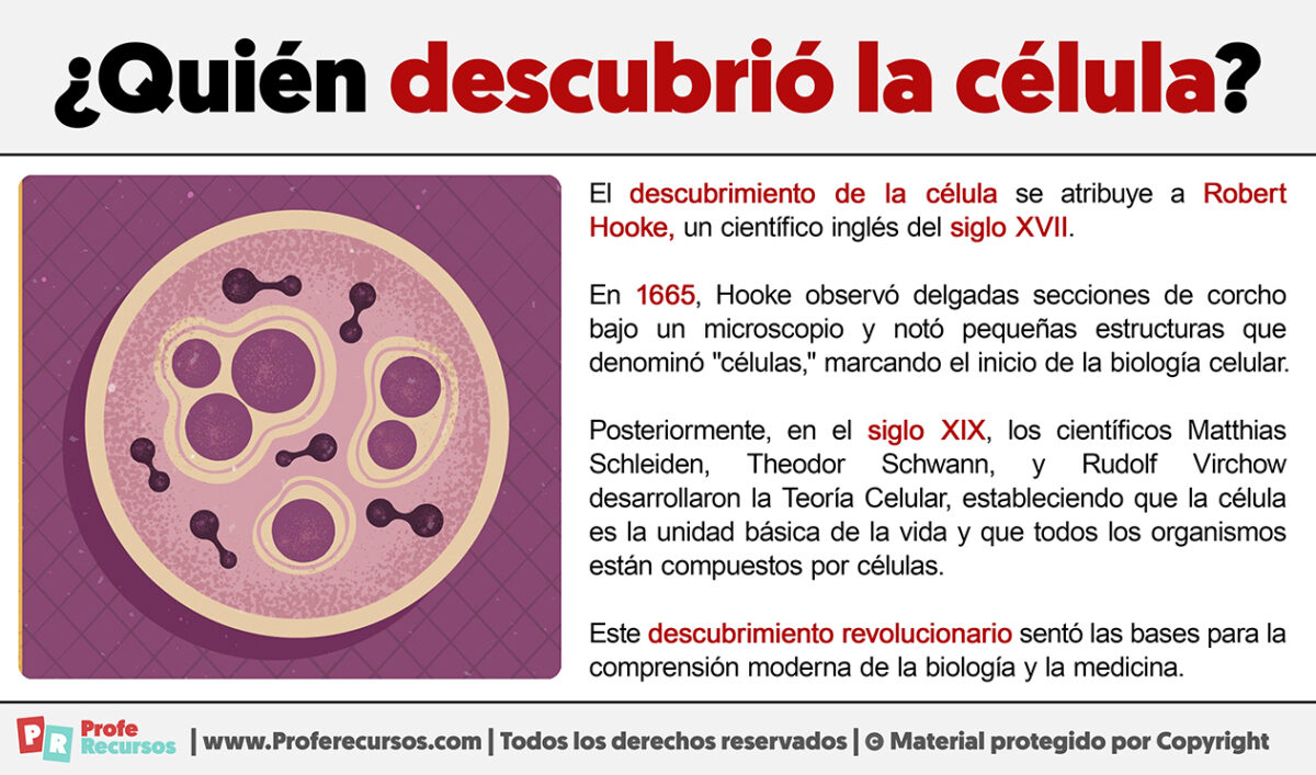 Quién descubrió la Célula