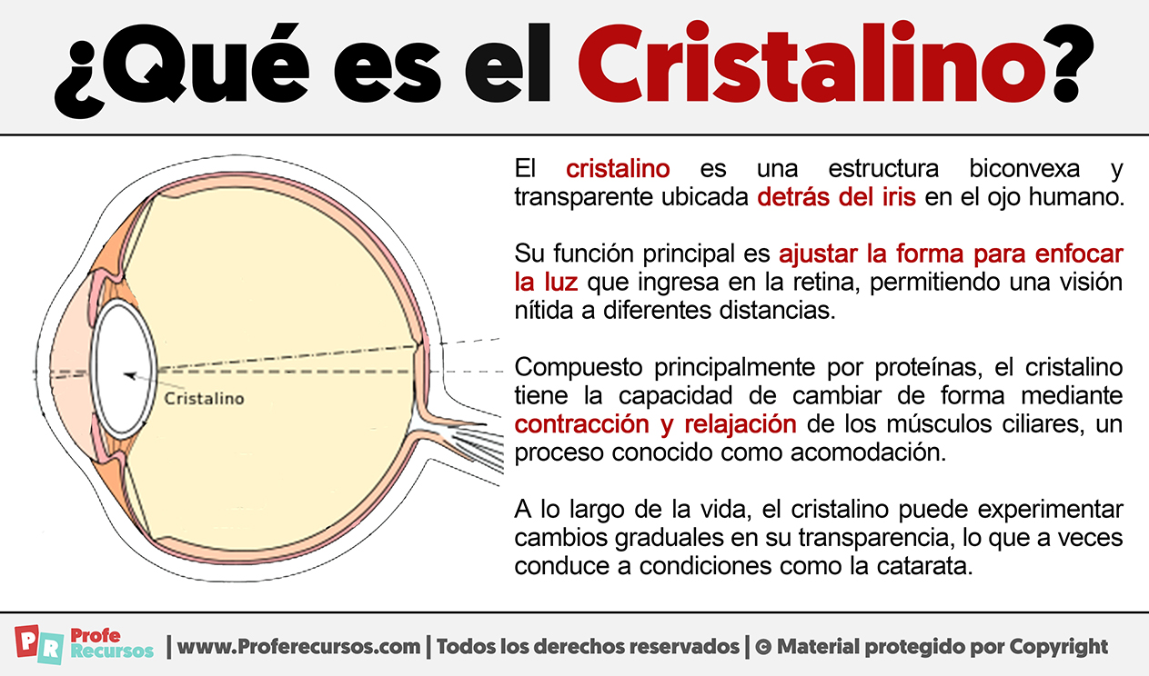 Quien es el cristalino