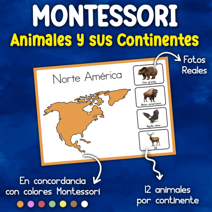 Recurso educativo montessori de animales y continentes