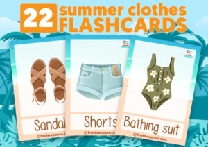 Summer vocabulary flashcards