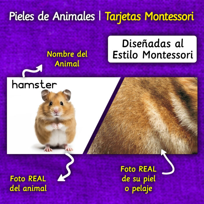 Tarjetas de animales montessori