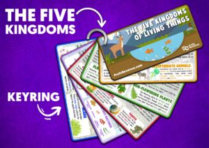 The 5 kingdoms living things