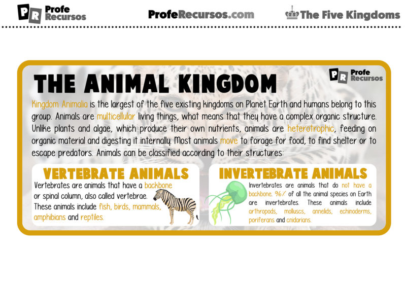 The Five Kingdoms of Living Things Science Activity