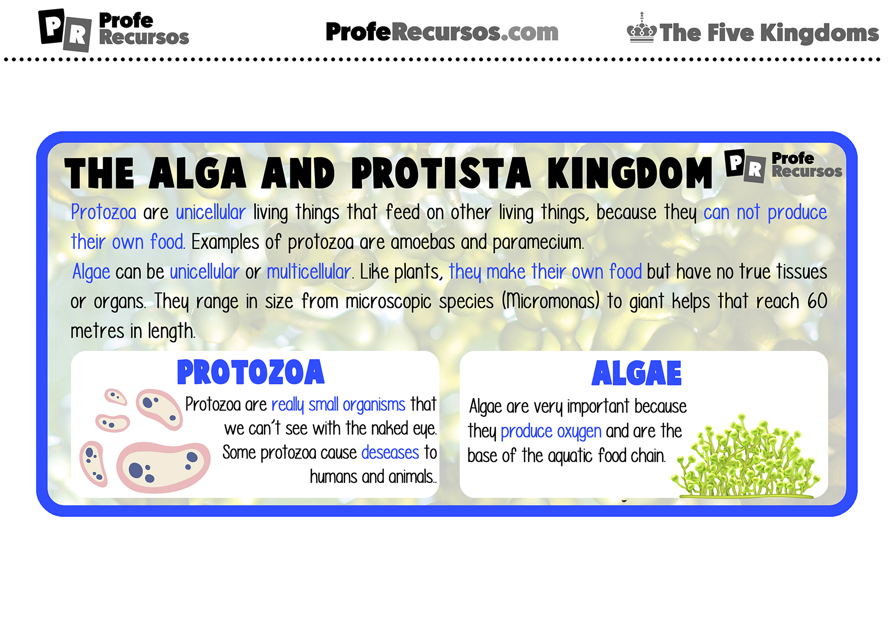 The five kingdoms of living beings