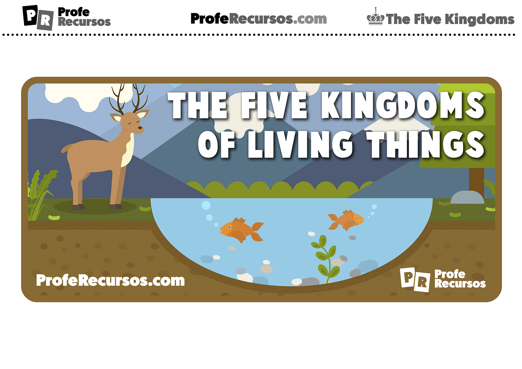 The five kingdoms of living things