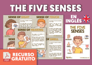 The five senses