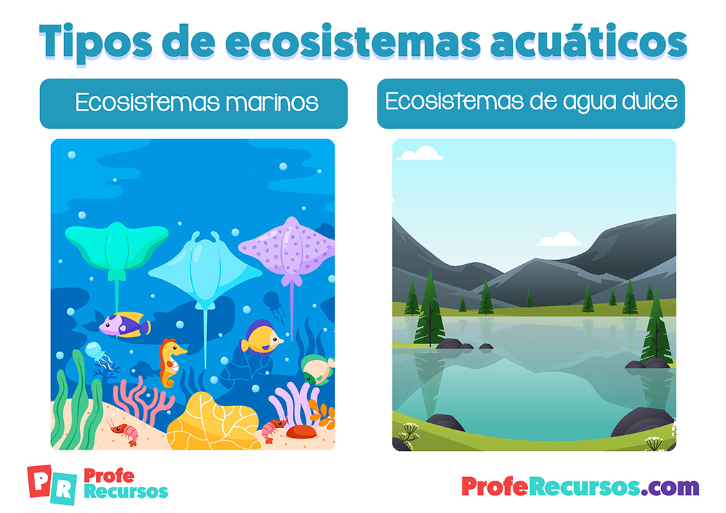 Tipos de ecosistemas acuaticos