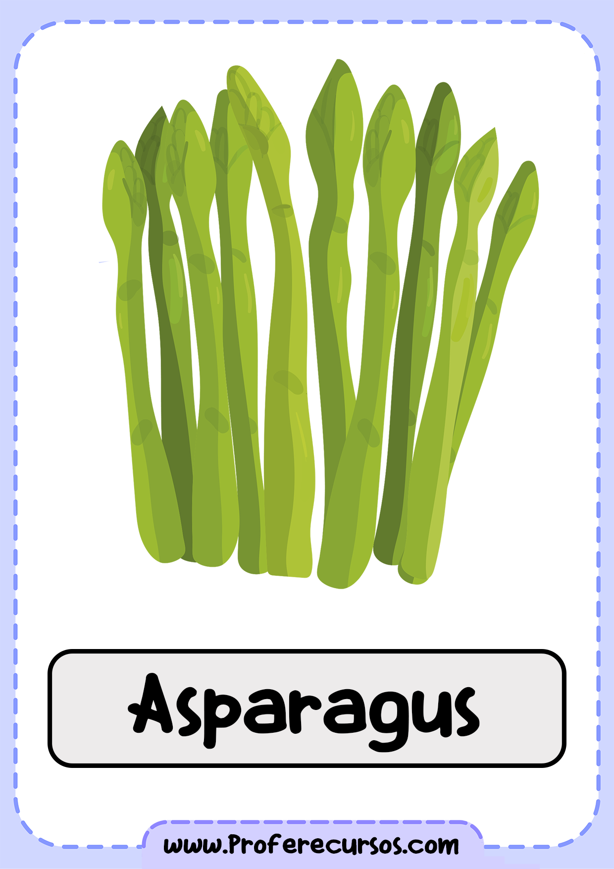 Vegetables-Vocabulary-Asparagus