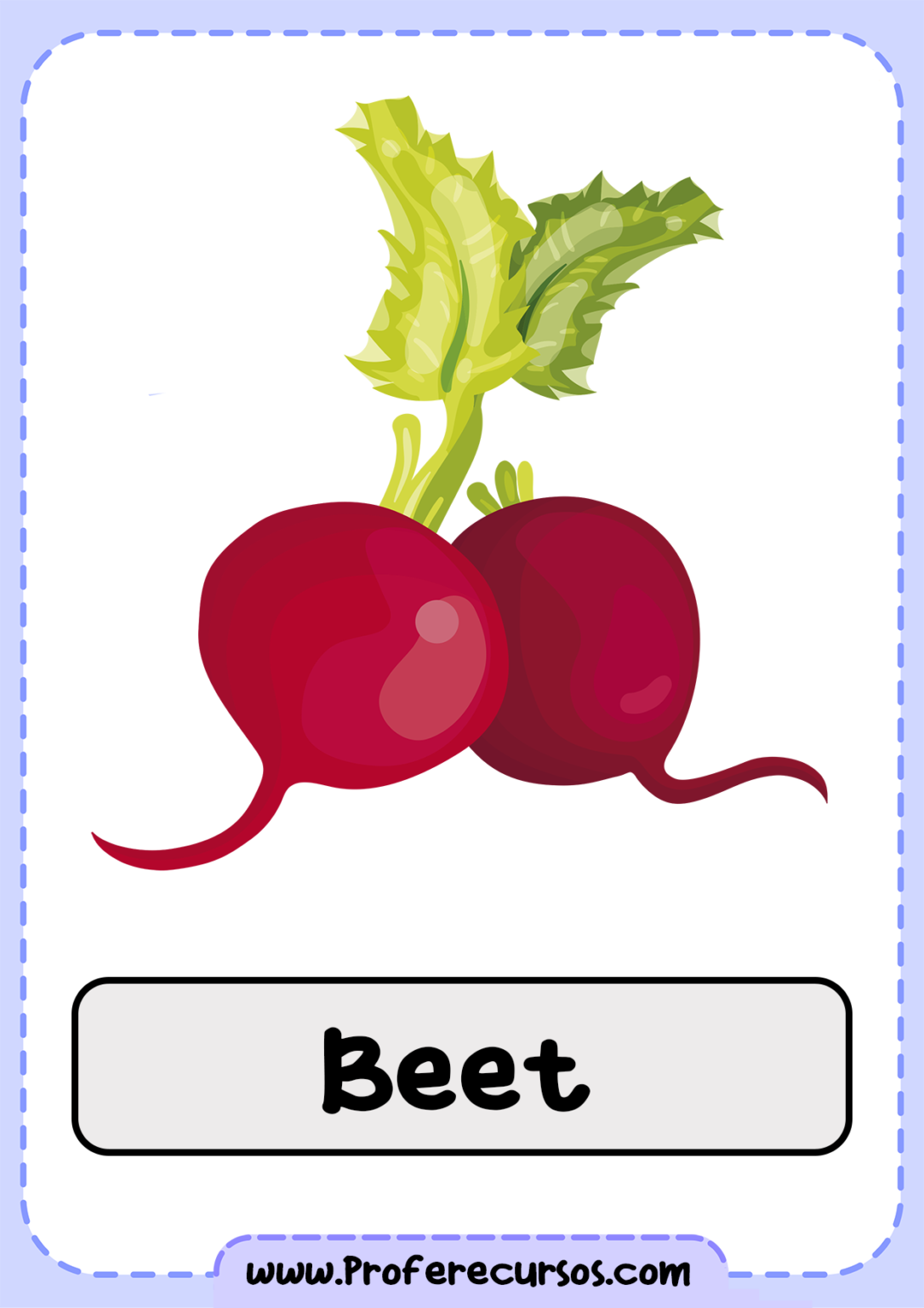 VegetablesVocabularyBeet