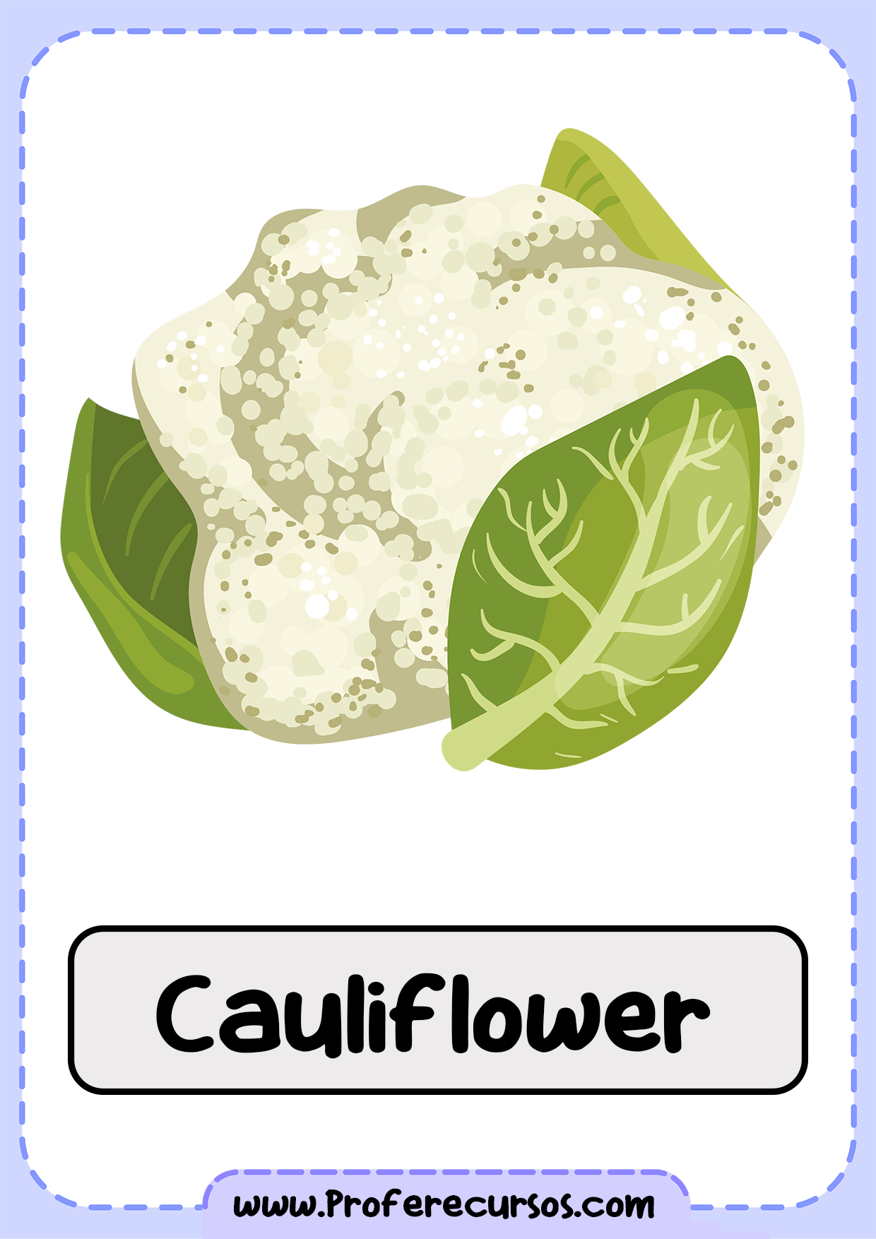 Vegetables-Vocabulary-Cauliflower