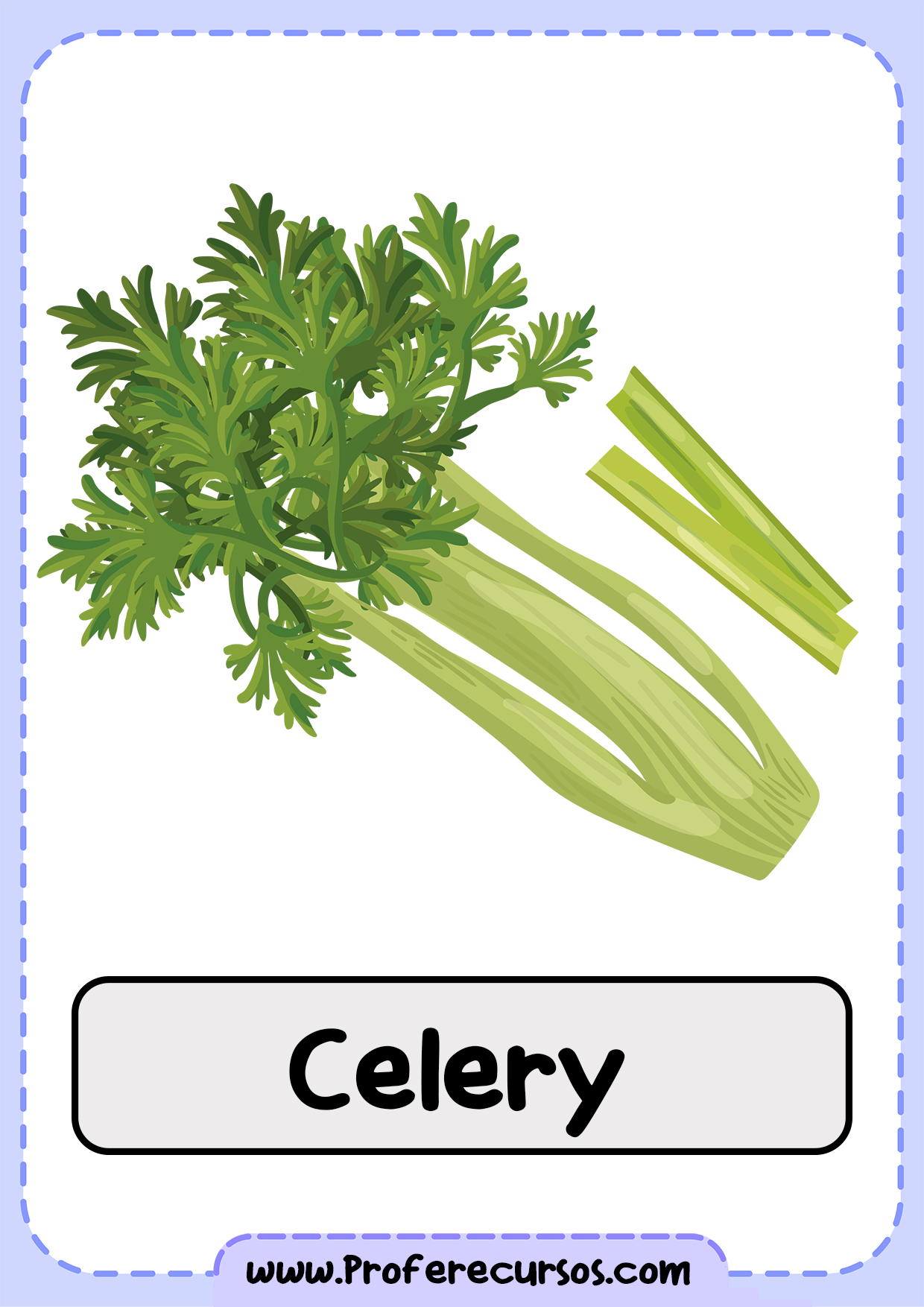 Vegetables-Vocabulary-Celery