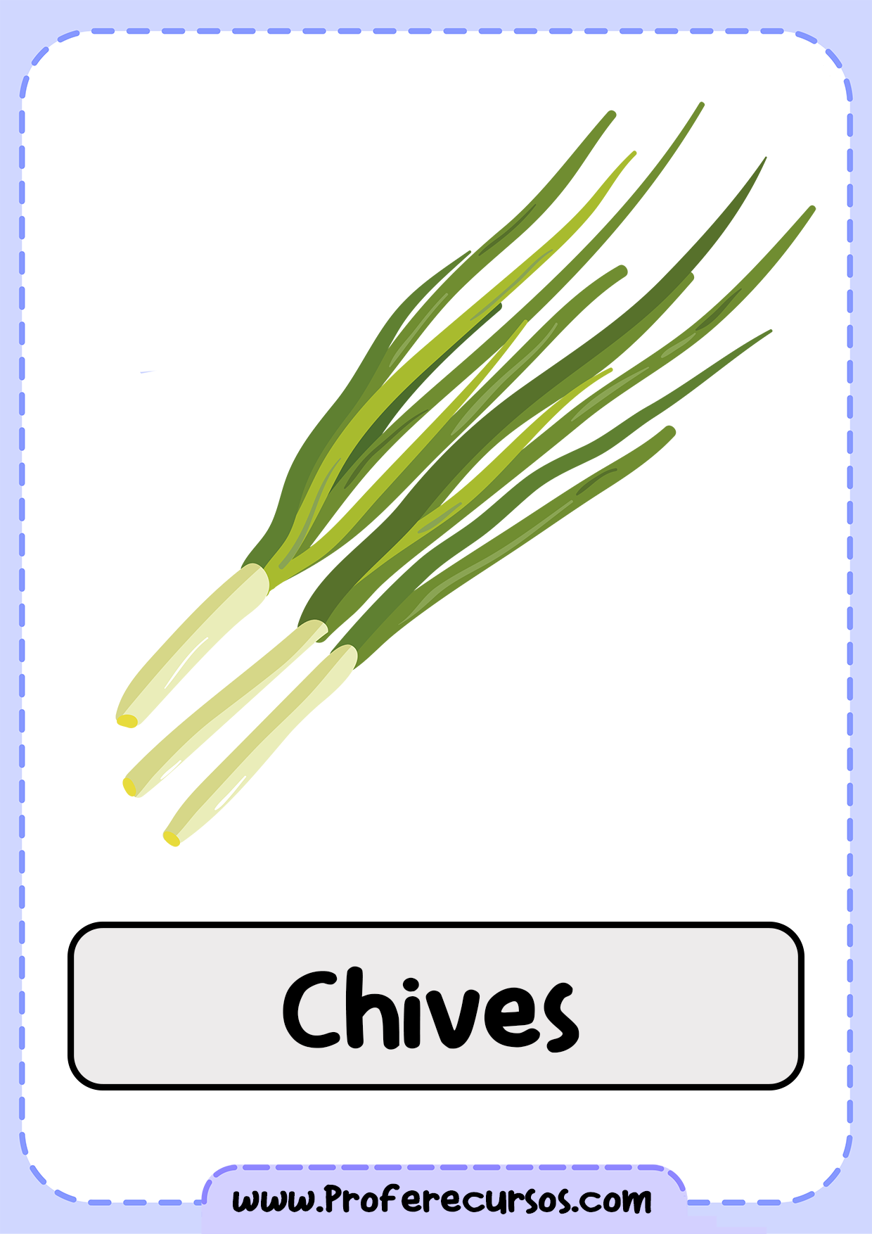 Vegetables-Vocabulary-Chives