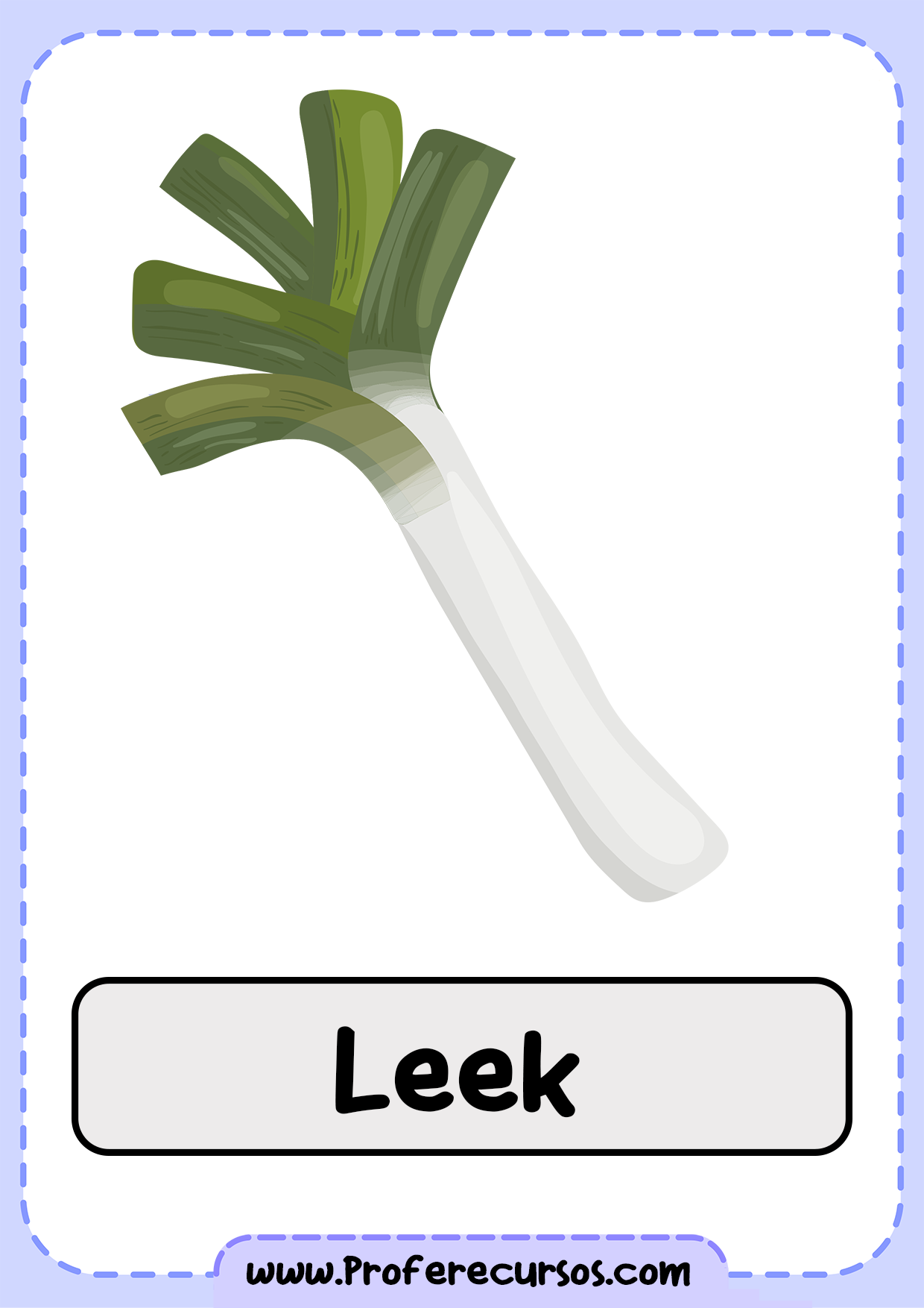 Vegetables-Vocabulary-Leek