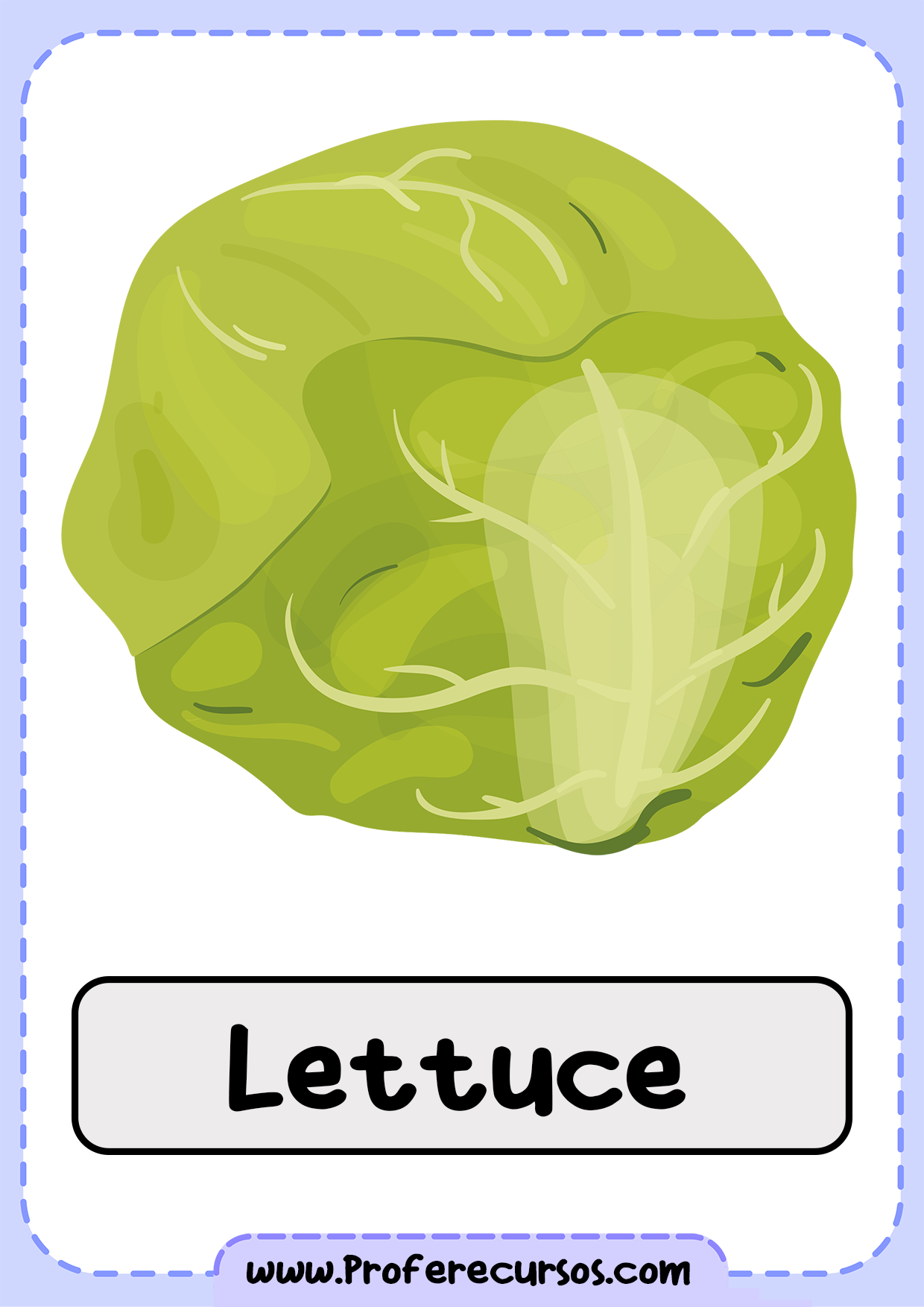 Vegetables-Vocabulary-Lettuce
