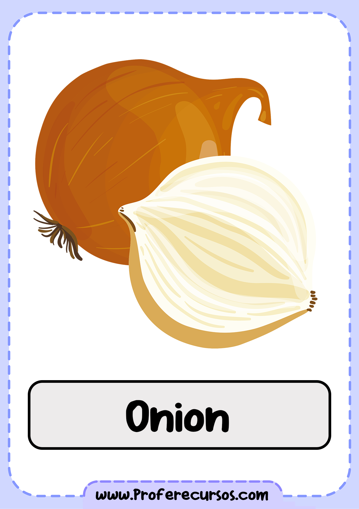 Vegetables-Vocabulary-Onion