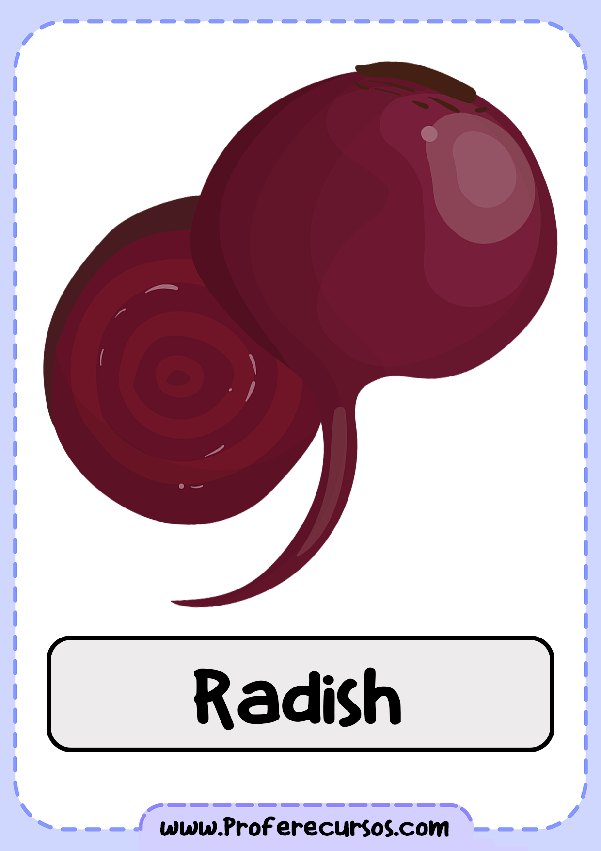 Vegetables-Vocabulary-Radish