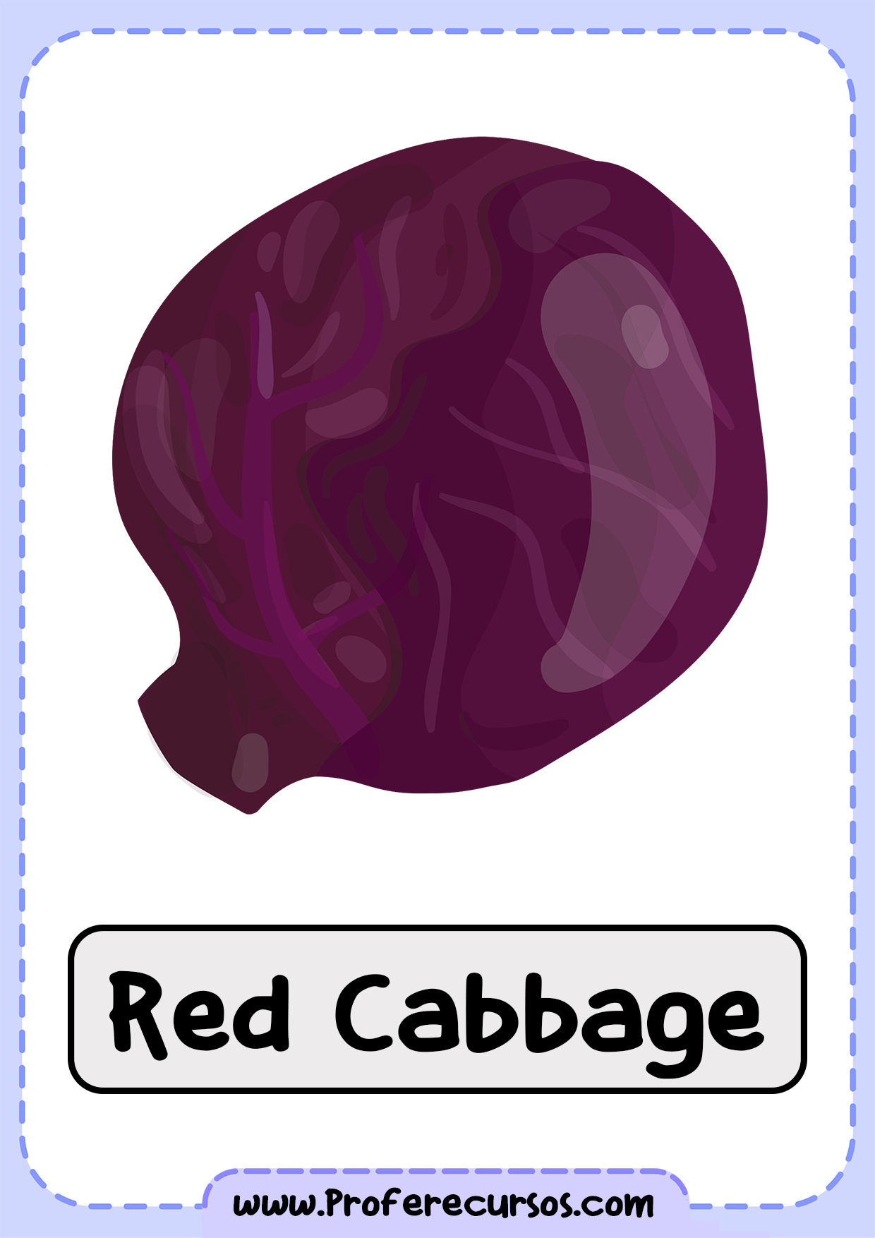 Vegetables-Vocabulary-Red-Cabbage
