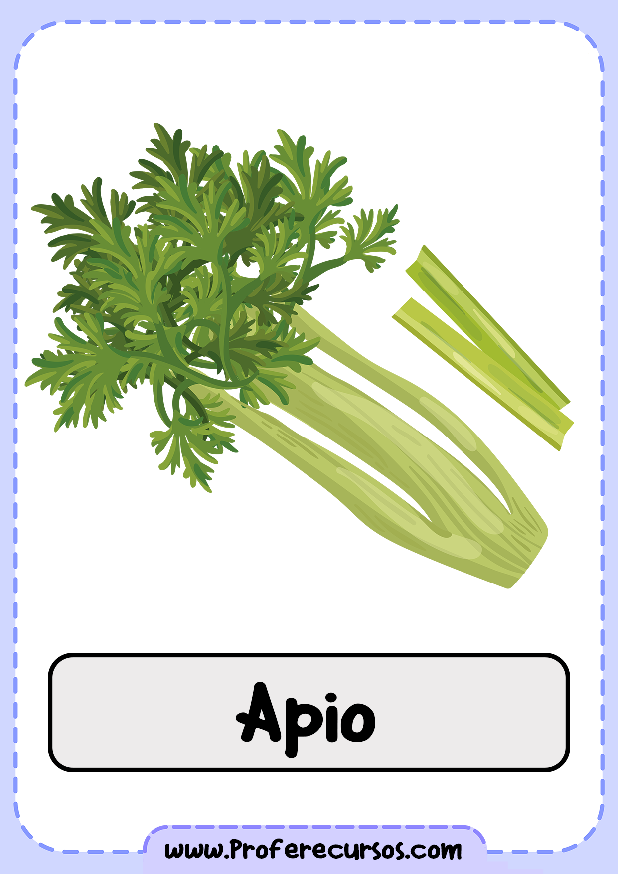 Vocabulario-Verduras-Vegetales-Apio