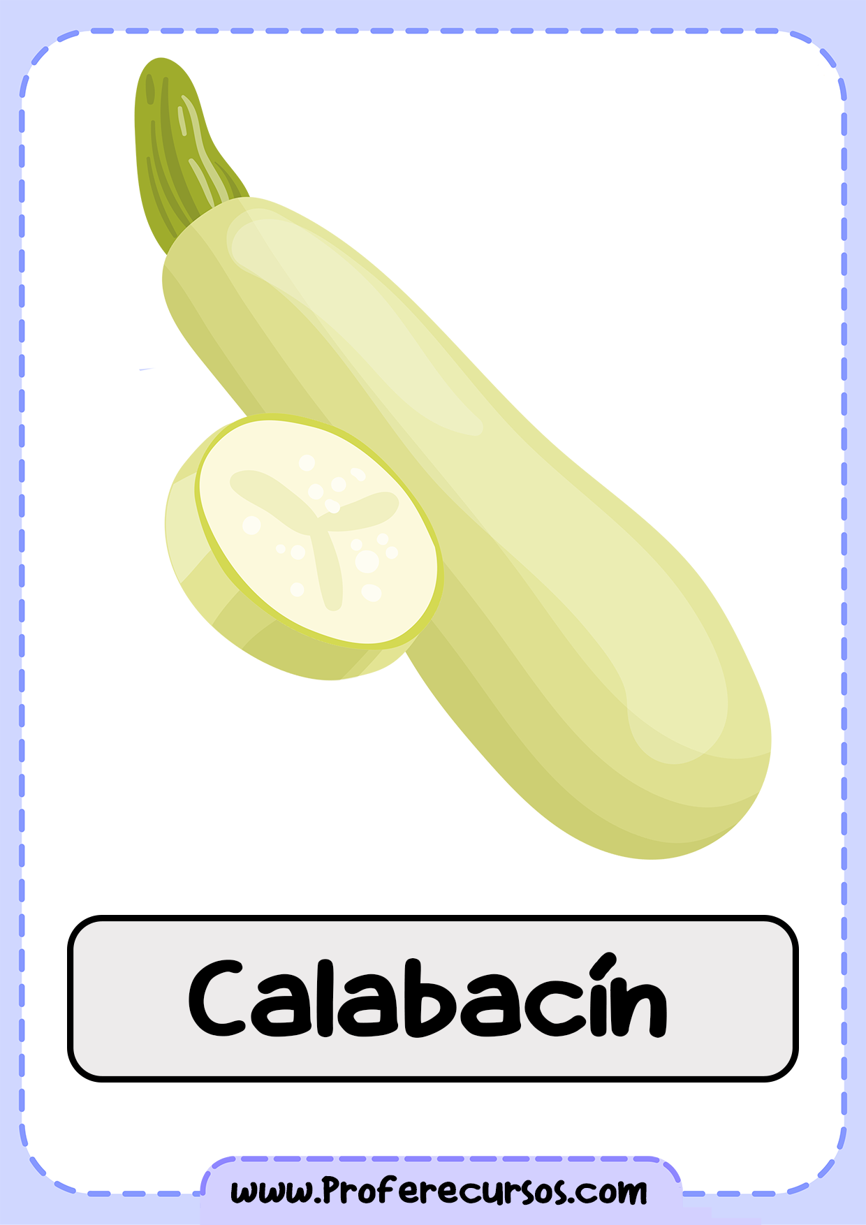 Vocabulario-Verduras-Vegetales-Calabacin