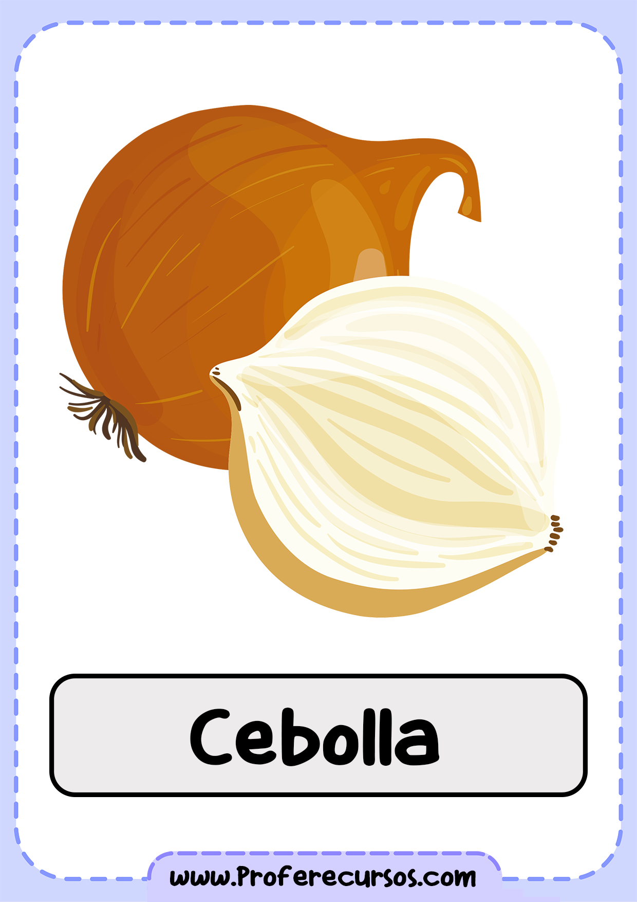 Vocabulario-Verduras-Vegetales-Cebolla