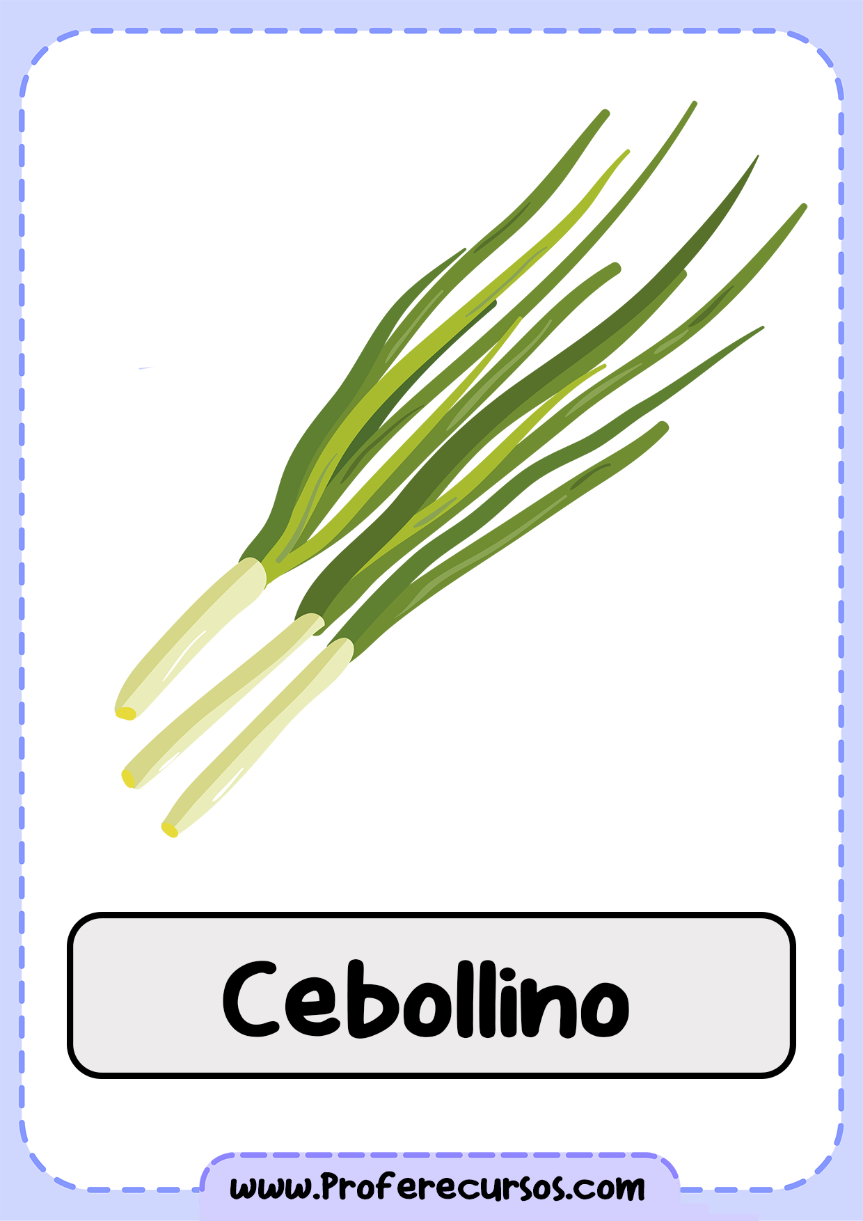 Vocabulario-Verduras-Vegetales-Cebollino