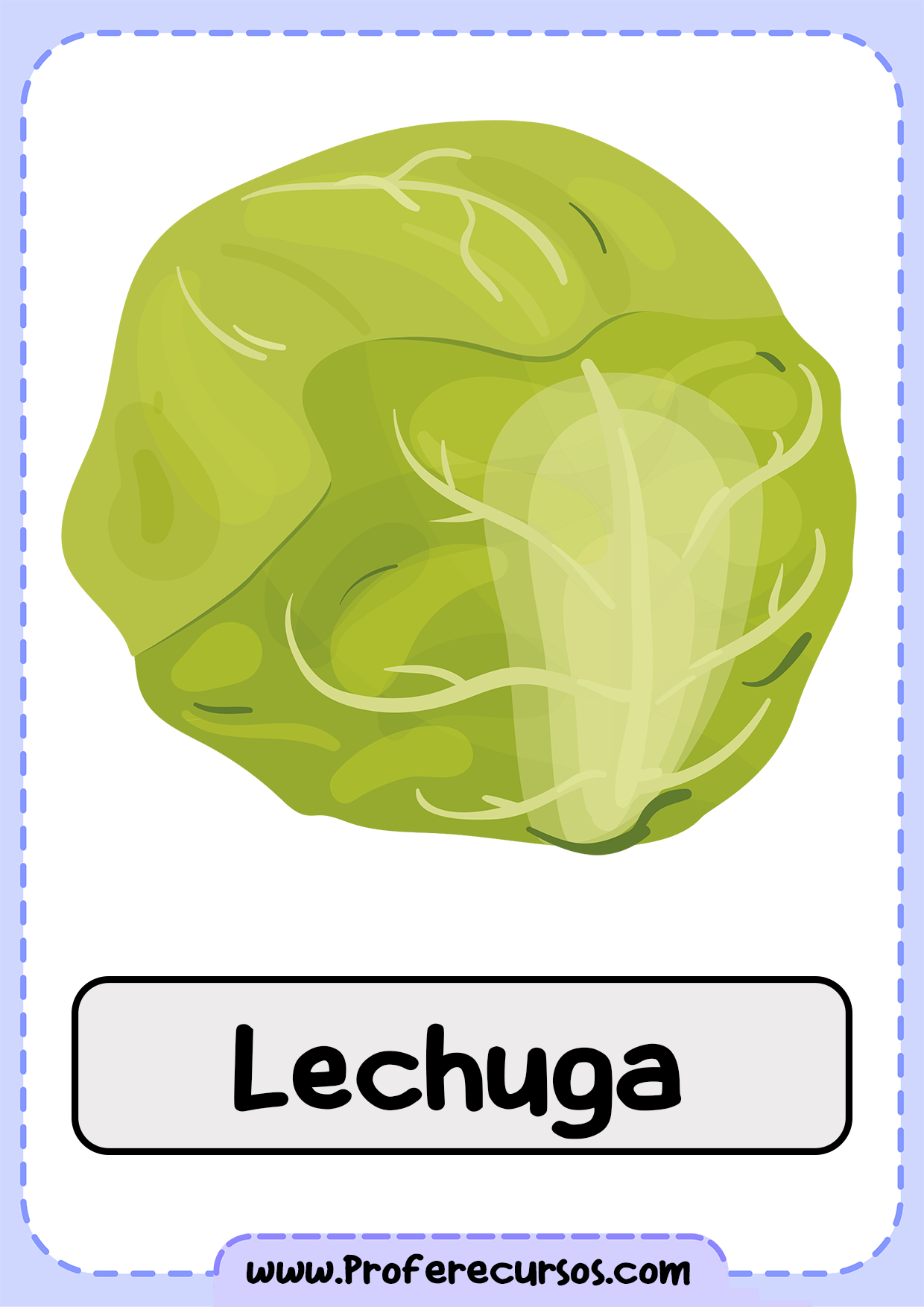 Vocabulario-Verduras-Vegetales-Lechuga